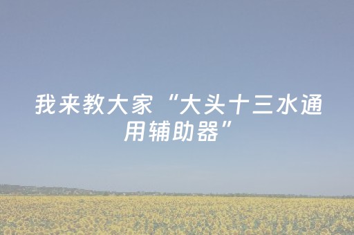 我来教大家“大头十三水通用辅助器”（详细透视教程）-哔哩哔哩