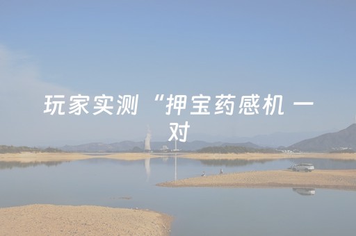 玩家实测“押宝药感机 一对（专用辅牌神器免安装）
