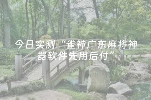 今日实测“雀神广东麻将神器软件先用后付”（详细透视教程）-哔哩哔哩