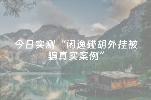 今日实测“闲逸碰胡外挂被骗真实案例”（详细辅助教程）-哔哩哔哩