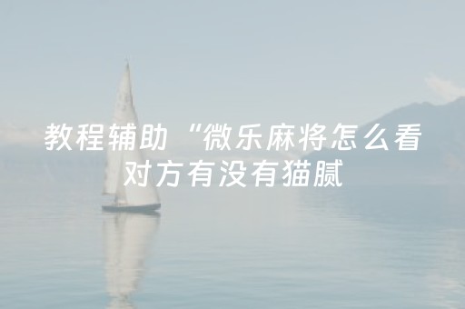 教程辅助“微乐麻将怎么看对方有没有猫腻（助赢神器通用版）