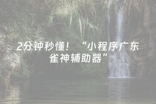 2分钟秒懂！“小程序广东雀神辅助器”（详细开挂教程）-哔哩哔哩