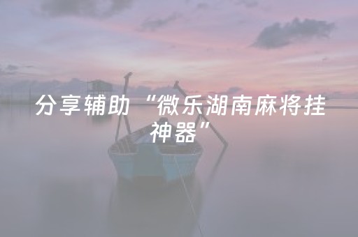 分享辅助“微乐湖南麻将挂神器”（详细透视教程）-哔哩哔哩