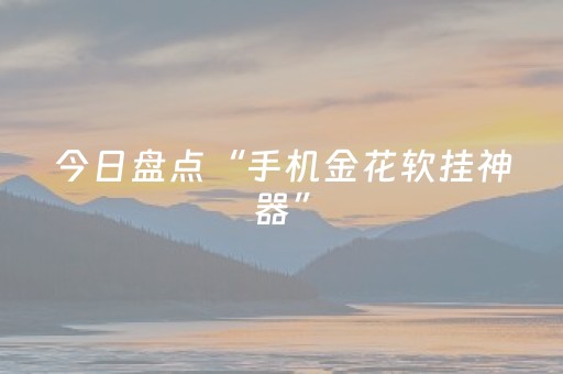 今日盘点“手机金花软挂神器”（详细辅助教程）-哔哩哔哩
