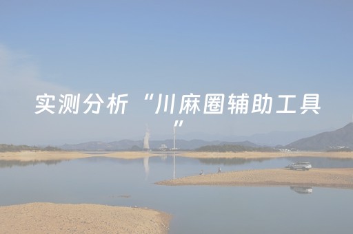 实测分析“川麻圈辅助工具”（详细透视教程）-哔哩哔哩