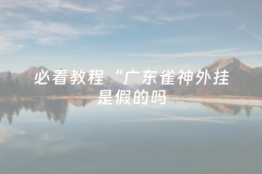 必看教程“广东雀神外挂是假的吗（助赢神器通用版）