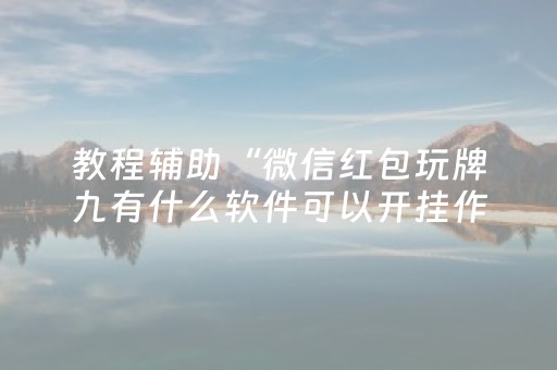 教程辅助“微信红包玩牌九有什么软件可以开挂作弊”（详细透视教程）-哔哩哔哩