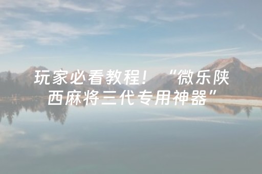 玩家必看教程！“微乐陕西麻将三代专用神器”（详细透视教程）-哔哩哔哩