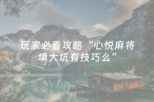 玩家必看攻略“心悦麻将填大坑有技巧么”（详细透视教程）-哔哩哔哩