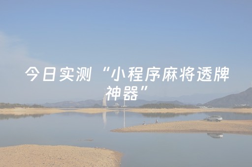 今日实测“小程序麻将透牌神器”（详细透视教程）-哔哩哔哩