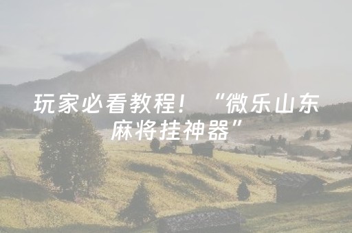 玩家必看教程！“微乐山东麻将挂神器”（详细辅助教程）-哔哩哔哩