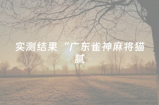 实测结果“广东雀神麻将猫腻（助赢神器通用版）