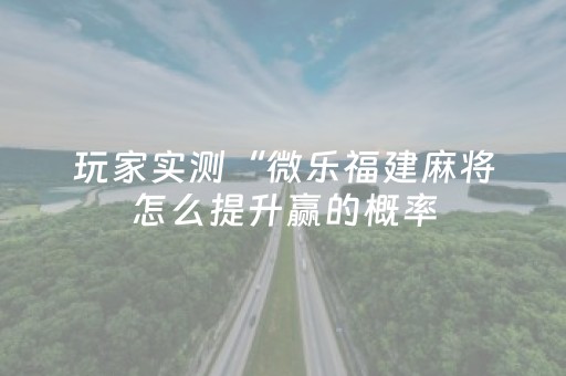 玩家实测“微乐福建麻将怎么提升赢的概率（助赢神器通用版）