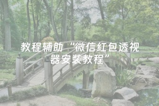 教程辅助“微信红包透视器安装教程”（详细透视教程）-哔哩哔哩