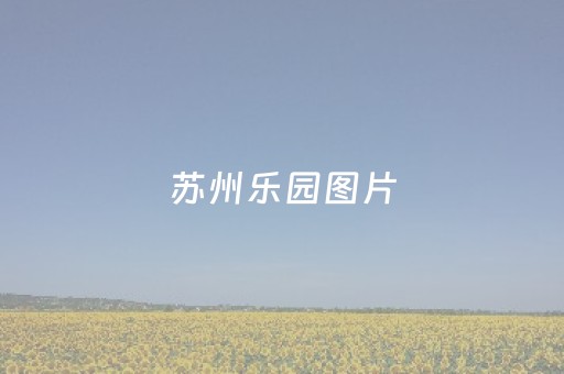 苏州乐园图片（苏州乐园攻略）