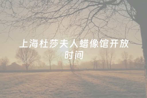 上海杜莎夫人蜡像馆开放时间（上海杜莎夫人蜡像馆游玩攻略）