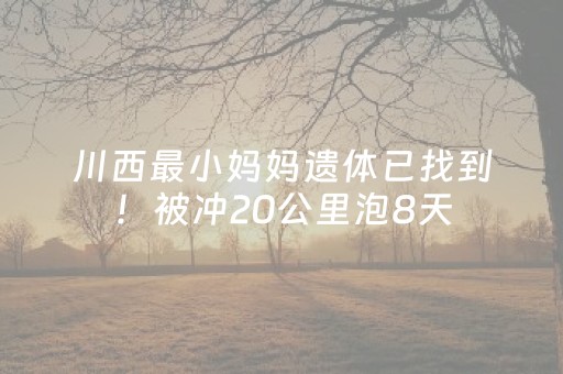 上海11个古镇（上海11个古镇有什么玩的地方）