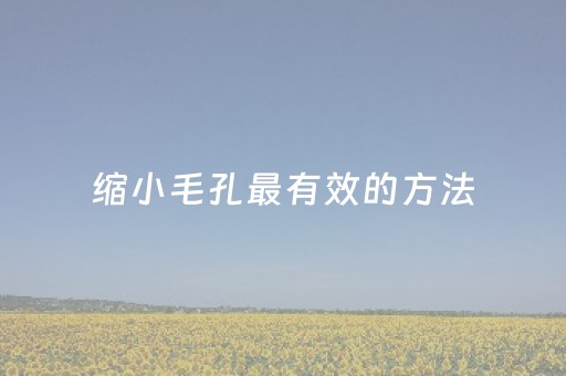 缩小毛孔最有效的方法（如何缩小毛孔最有效的方法）