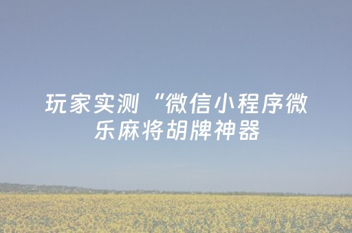 玩家实测“微信小程序微乐麻将胡牌神器（专用辅牌神器免安装）