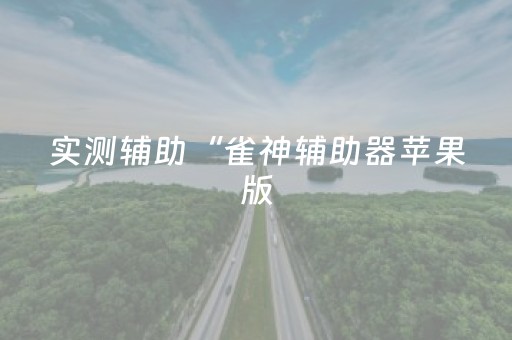 实测辅助“雀神辅助器苹果版（专用辅牌神器免安装）