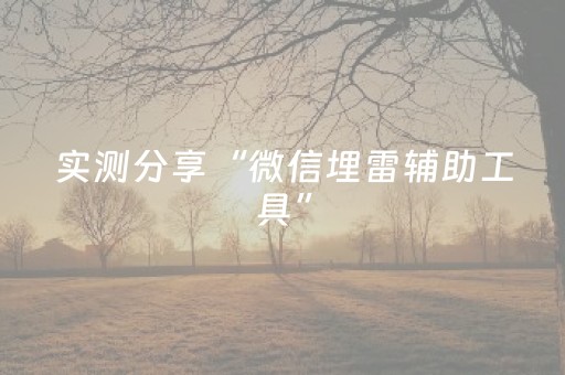 实测分享“微信埋雷辅助工具”（详细透视教程）-哔哩哔哩