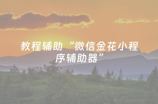 教程辅助“微信金花小程序辅助器”（详细透视教程）-哔哩哔哩