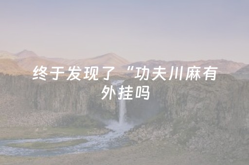 终于发现了“功夫川麻有外挂吗（助赢神器通用版）