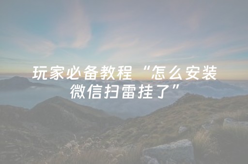 玩家必备教程“怎么安装微信扫雷挂了”（详细透视教程）-哔哩哔哩