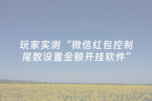 玩家实测“微信红包控制尾数设置金额开挂软件”（详细透视教程）-哔哩哔哩