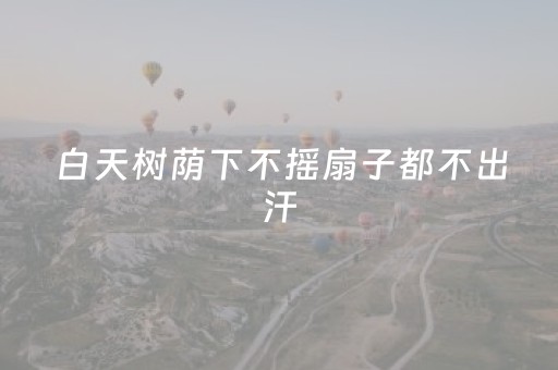 厦门属于哪个省（福州厦门属于哪个省）