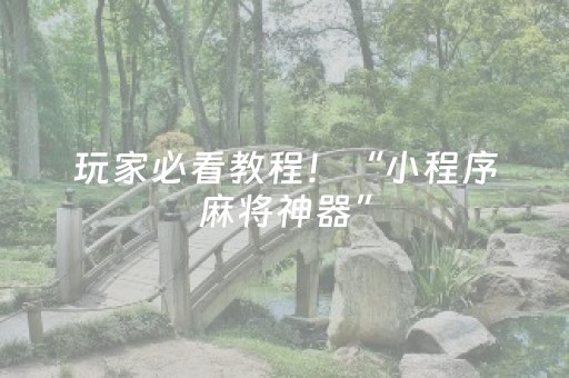 玩家必看教程！“小程序麻将神器”（详细开挂教程）-哔哩哔哩