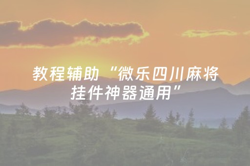 教程辅助“微乐四川麻将挂件神器通用”（详细透视教程）-哔哩哔哩