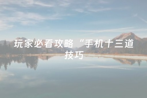 玩家必看攻略“手机十三道技巧（专用辅牌神器免安装）