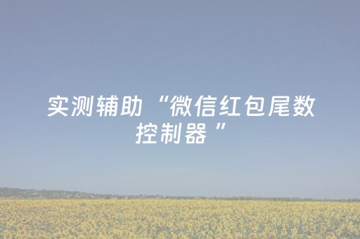 实测辅助“微信红包尾数控制器 ”（详细透视教程）-哔哩哔哩