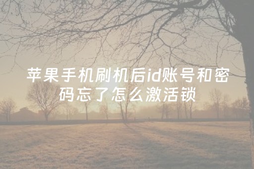 苹果手机刷机后id账号和密码忘了怎么激活锁（苹果手机刷机后id账号和密码忘了怎么激活锁不了）