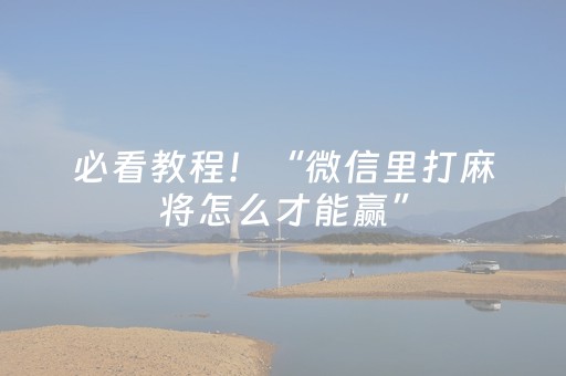 必看教程！“微信里打麻将怎么才能赢”（详细辅助教程）-哔哩哔哩