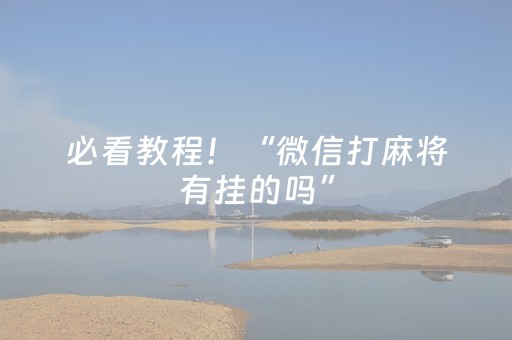 必看教程！“微信打麻将有挂的吗”（详细开挂教程）-哔哩哔哩