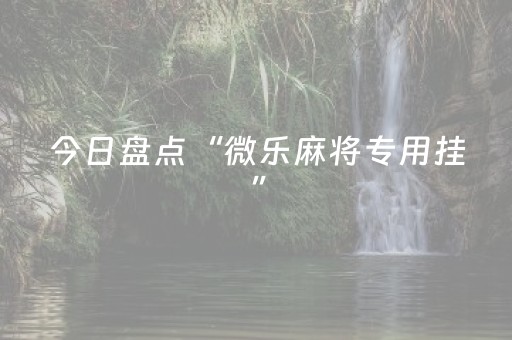 今日盘点“微乐麻将专用挂”（详细辅助教程）-哔哩哔哩
