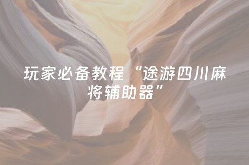 玩家必备教程“途游四川麻将辅助器”（详细透视教程）-哔哩哔哩