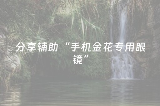 分享辅助“手机金花专用眼镜”（详细透视教程）-哔哩哔哩