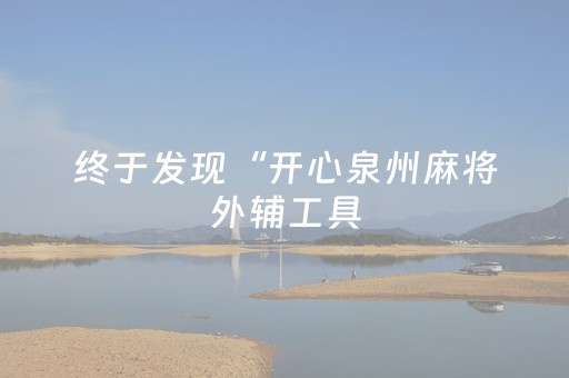 终于发现“开心泉州麻将外辅工具（专用辅牌神器免安装）