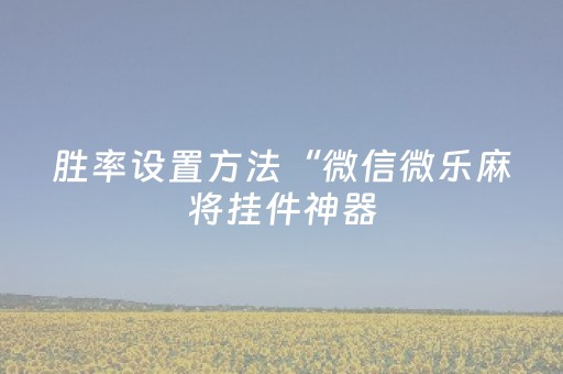 胜率设置方法“微信微乐麻将挂件神器（专用辅牌神器免安装）