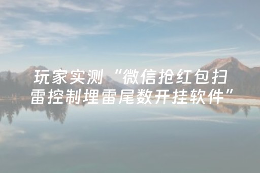玩家实测“微信抢红包扫雷控制埋雷尾数开挂软件”（详细透视教程）-哔哩哔哩