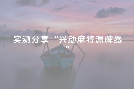 实测分享“兴动麻将漏牌器”（详细透视教程）-哔哩哔哩