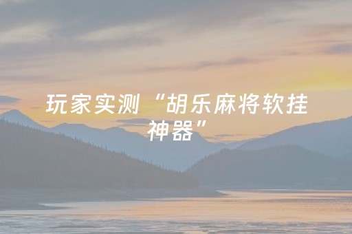玩家实测“胡乐麻将软挂神器”（详细透视教程）-哔哩哔哩