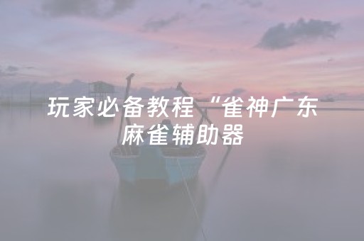 玩家必备教程“雀神广东麻雀辅助器（专用辅牌神器免安装）