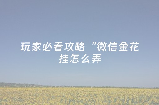 玩家必看攻略“微信金花挂怎么弄（助赢神器通用版）