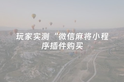 玩家实测“微信麻将小程序插件购买（助赢神器通用版）