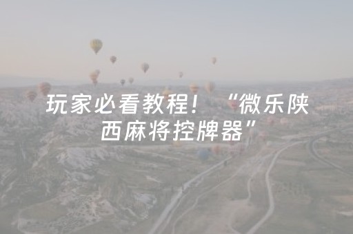 玩家必看教程！“微乐陕西麻将控牌器”（详细辅助教程）-哔哩哔哩