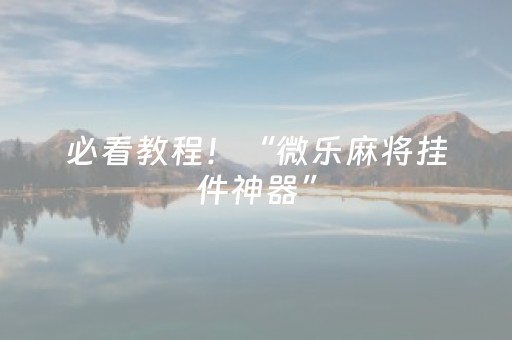 必看教程！“微乐麻将挂件神器”（详细透视教程）-哔哩哔哩